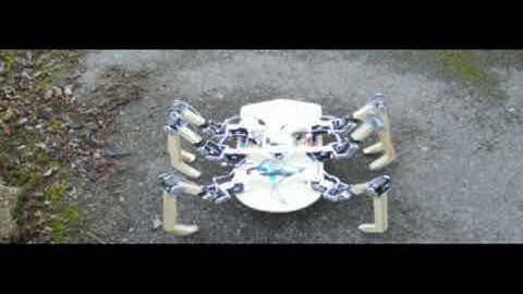 Large hexapod robot