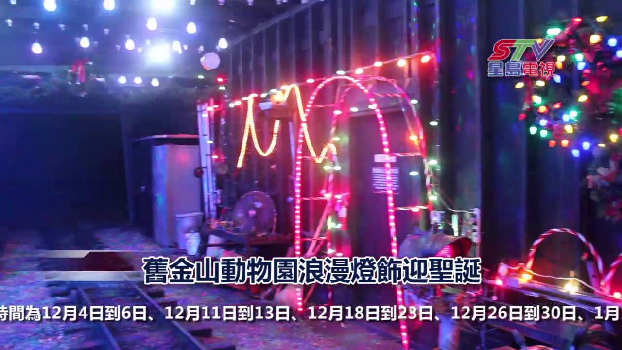 舊金山動物園浪漫燈飾迎聖誕 YouTube