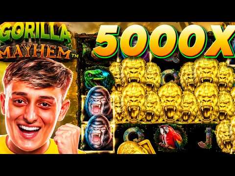 DONA NEM ACREDITOU NO TANTO QUE CONECTOU NO GORILLA MAYHEM