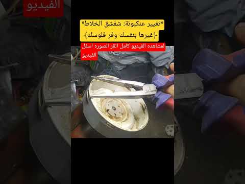 غير عنكبوتة شفشق خلاطك العربي بنفسك توشيبا 5200 والموديلات الأخرى أسهل طريقة
