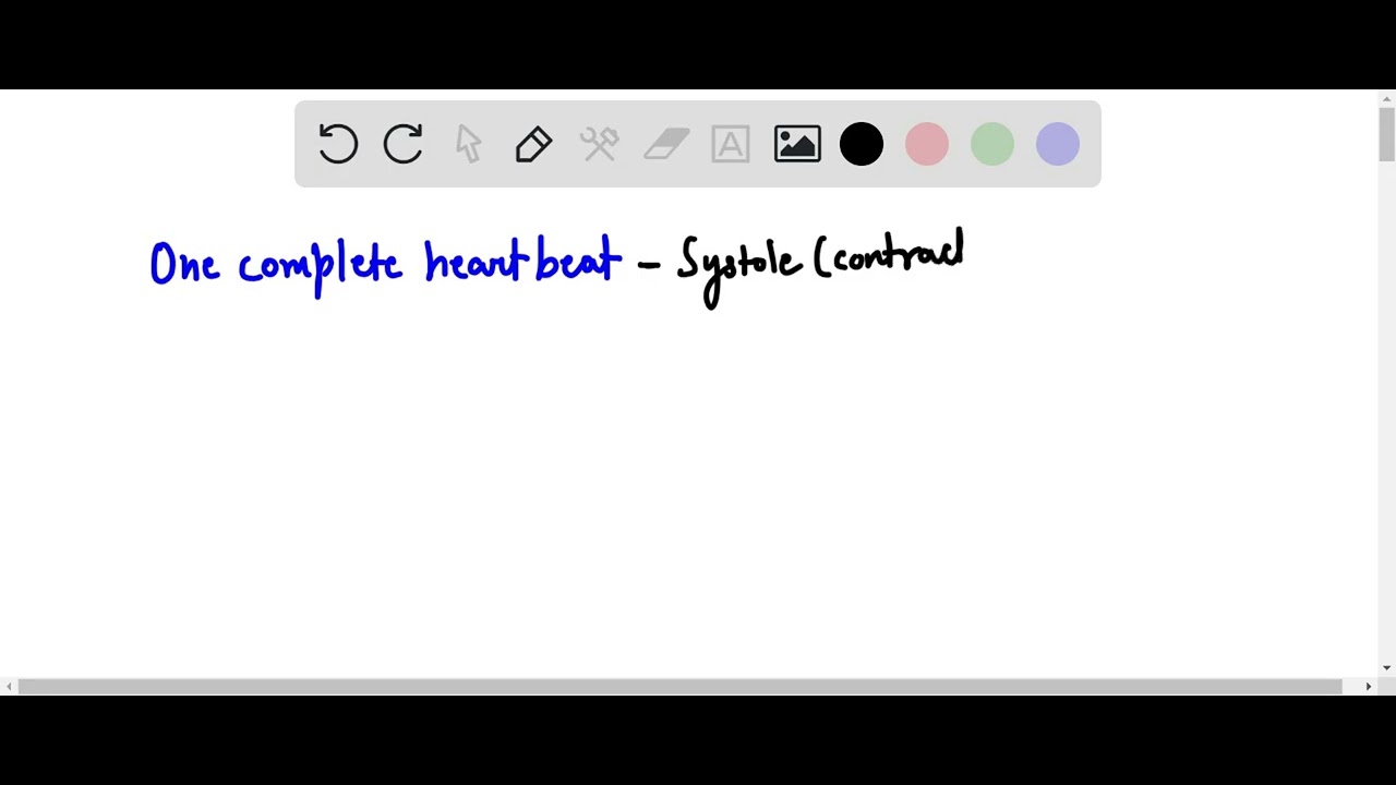 2. With each beat, the heart pumps: a) blood rich in oxygen to the lungs and blood rich in carbon d…