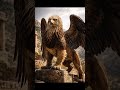 GRYPHON AKA GRIFFON IS RECOGNIZED BY DIGIMON LORE TO BE MEGA 🔥 #digimontamers
