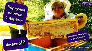 видео: Пока я потерялся, пчелы работали, но не все. Аномалия в лесу - такого вы скорее всего не видели! картинка: Пока я потерялся, пчелы работали, но не все. Аномалия в лесу - такого вы скорее всего не видели!