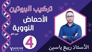 الوحدة الاولى تركيب البروتين : الاحماض النووية#02