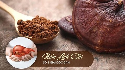 Uống nấm linh chi lúc nào tốt nhất năm 2024