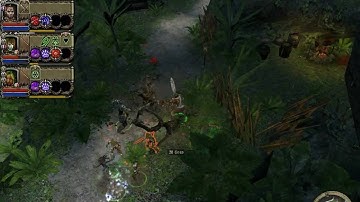 Blind Runs: Dungeon Siege 2 Broken World (Part 20)