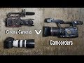 Filming Wildlife : Camcorders V DSLR. Mirrorless. Cinema cameras