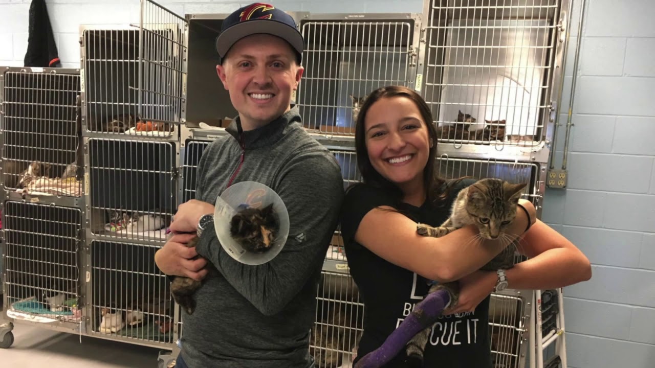 Newlyweds ask for animal shelter donations instead of wedding gifts