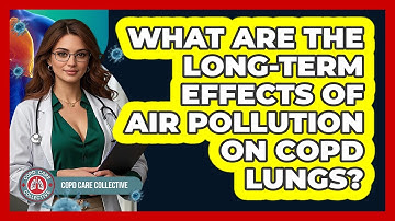 What Are The Long-term Effects Of Air Pollution On COPD Lungs? - COPD Care Collective