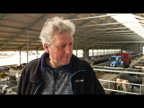 Video: Gefistuleerde Koeien - De Heiligen Van De Dierenwereld - Zieke Koeien Genezen Met Gezonde Koeien