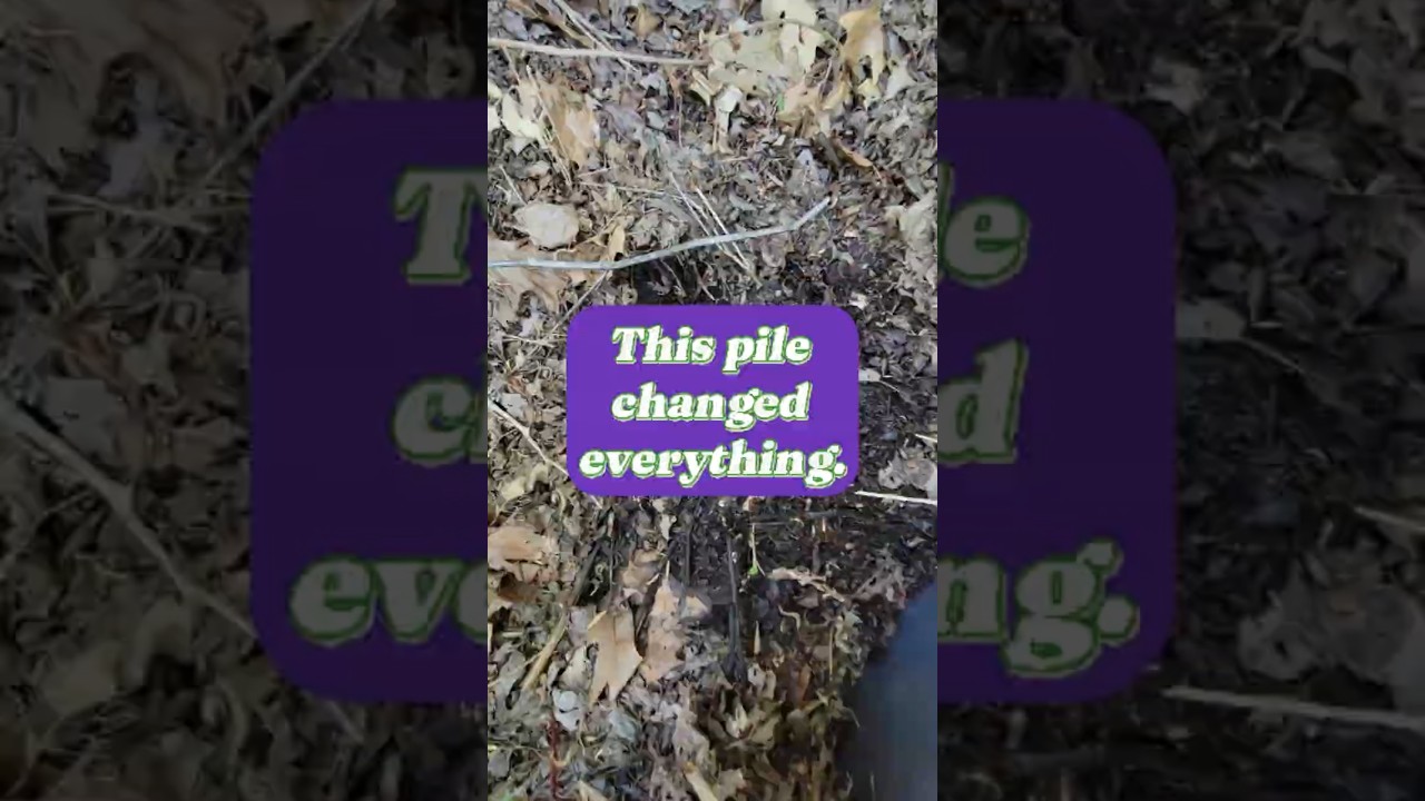 This Leaf Mold Bin Was Left Alone for a Month — Look What Happened