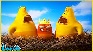 LARVA | THE RED KING | CARTOON MOVIE FOR LIFE |THE BEST OF CARTOON | HILARIOUS CARTOON COMPILATION