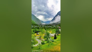 آيات من سورة الإنسان - عبدالله الموسى
