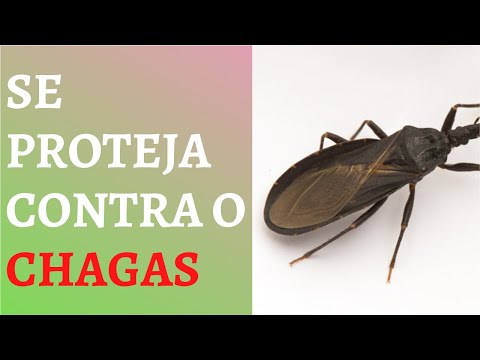 Vídeo: Como Se Tratar E Se Proteger Do ARVI