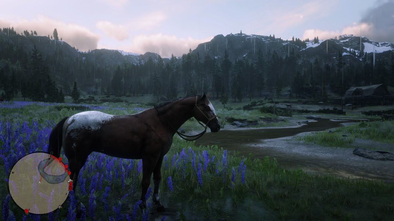 Red Dead Redemption 2 Blanket Appaloosa Horse Location YouTube