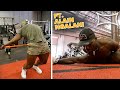 Become a Master of Mobility Ft. 5X Muay Thai World Champion Alain Ngalani