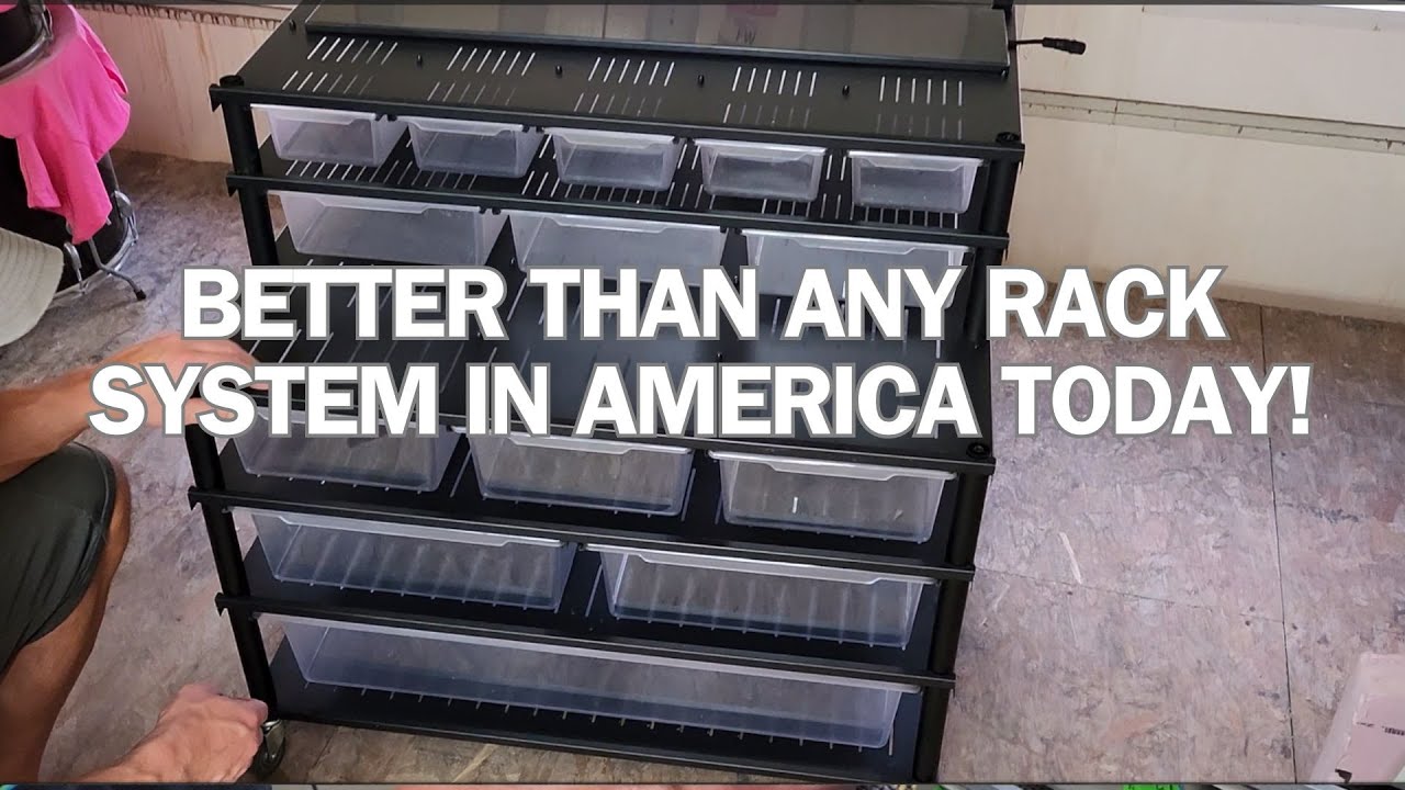 MUST SEE snake rack system not yet available in the US. Coming soon ...