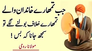 Jab Tumhare Rishtedaar Tumhare KhilafBolne Lageen ll Hamza Studio ll MaulanaRumi Quotes in Urdu