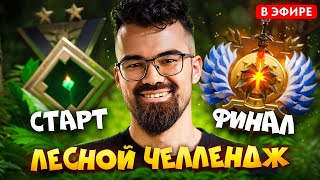Позиция - ЛЕС! Челлендж с нуля до титана🔥!стим !комп