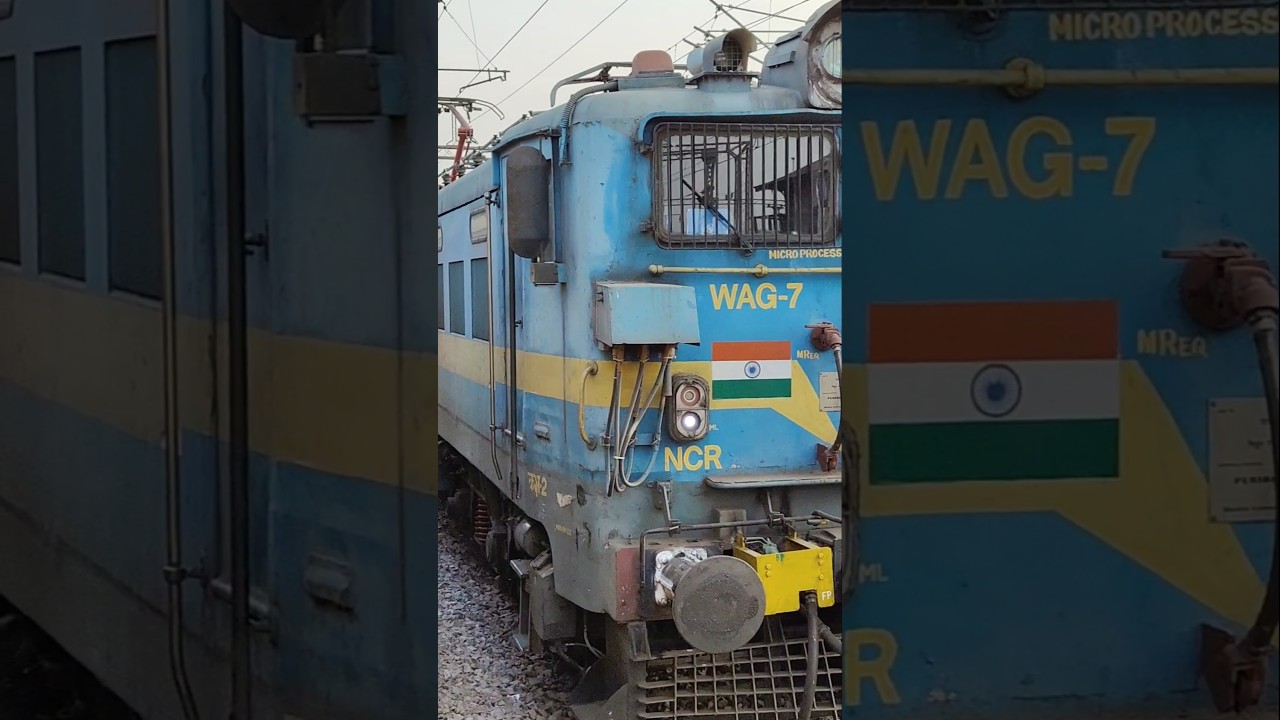 WAG-7 | Age is Just a Number for This Beast