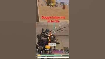 doggy  K9UNIT#codm #codmobile #callofdutymobile #callofdutyM