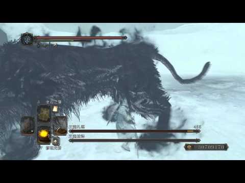黑暗靈魂2 埃斯‧洛耶斯+5 vs王寵札連&王寵拉鐸 營火溫度4 NG+++ 四周目