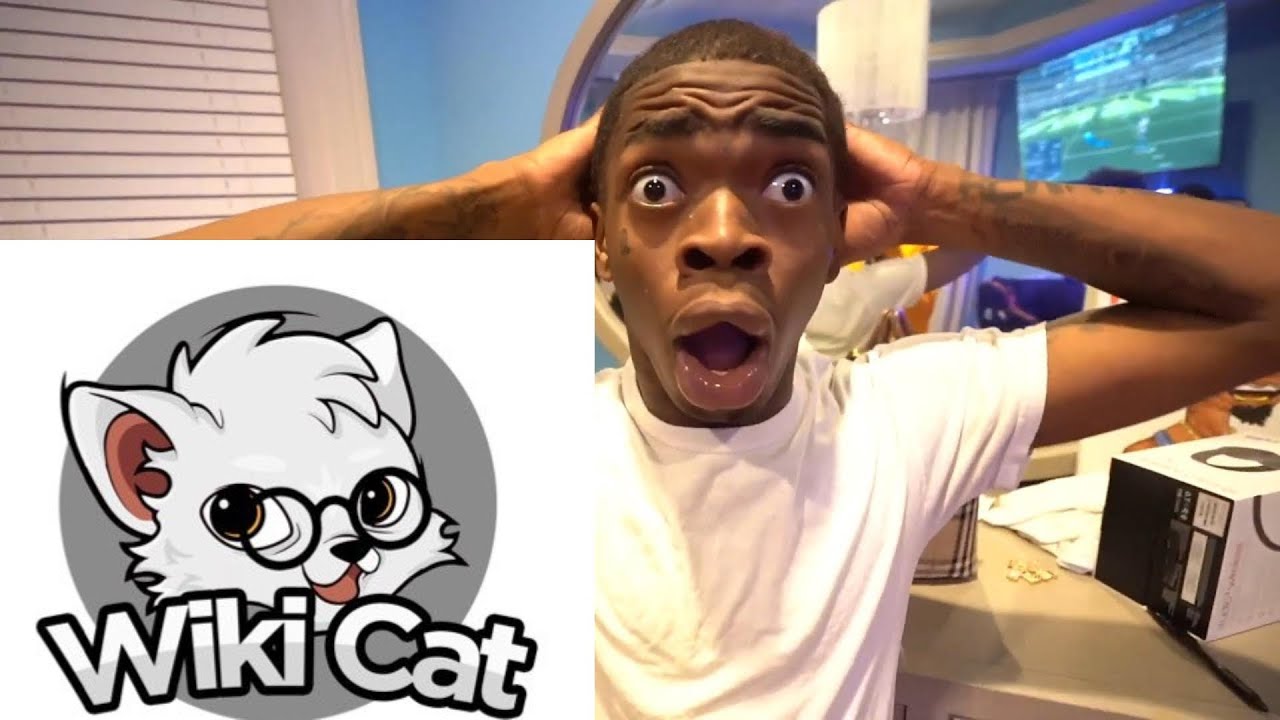 Wikicat Shocked Me While I Was Making This Video! - YouTube