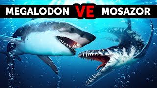 MEGALODON DEV DENİZ DİNOZORU MOSAZORLA KARŞILAŞSA NE OLURDU