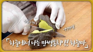 [숏클립] 하늘에서 나는 만병통치약! 하늘마 (KBS 2023.09.06 수 방송)