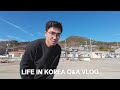 How is living in rural south korea  qa korea vlog