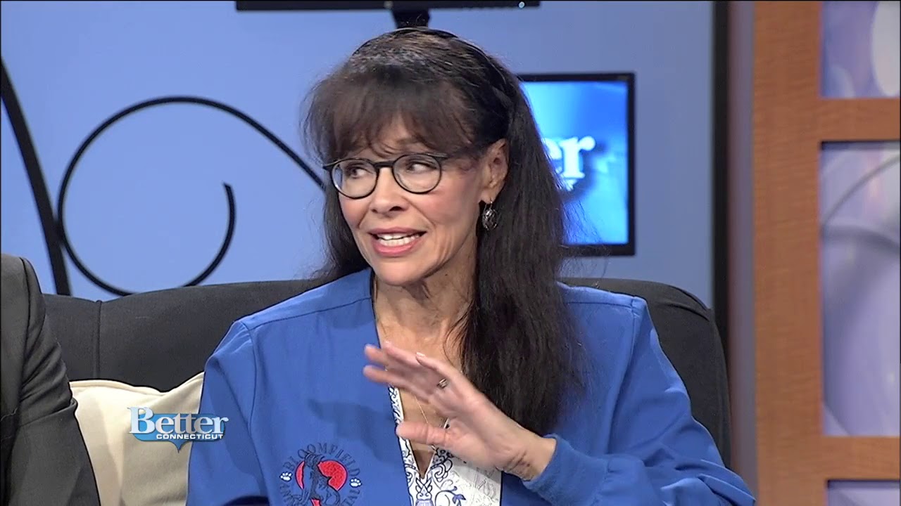 How to Keep Your Dogs Safe From Venomous Snakes