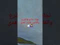 نجاة عتابو الشرع والقانون قاليك اهدى واودير غير وحدة نجاة عتابو الشرع والقانون قاليك اهدى واودير غير وحدة