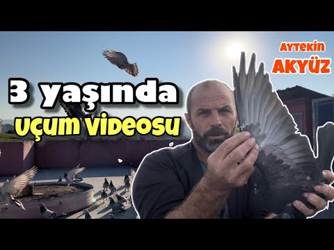 Ben İyisiyle Kötüsüyle Havaya Atıyorum  / Aytekin Akyüz /Uçum videosu