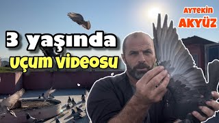 Ben İyisiyle Kötüsüyle Havaya Atıyorum Aytekin Akyüz Uçum Videosu