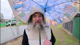 О ложной прозорливости