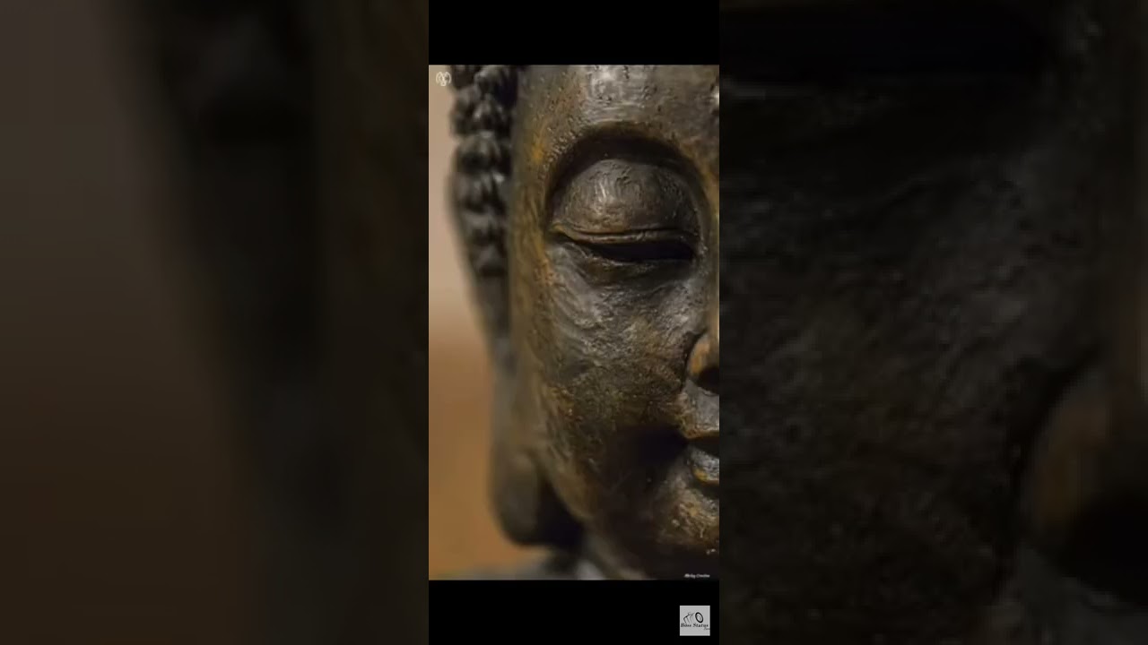 new  lord Buddha  whatsapp status