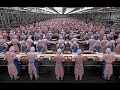 The biggest factory in the world  full discovery channel documentary