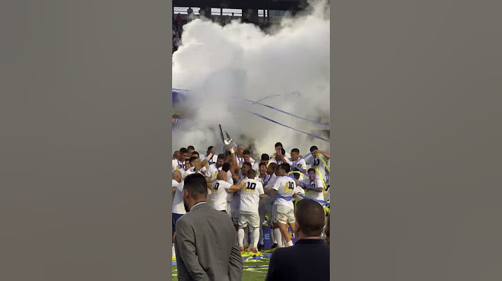 SANTOS CAMPEÃO DA SÉRIE B 2024! #futebol #santosfc