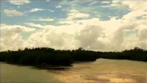 سورة النساء الشيخ سعد الغامدي. Surat al nisa - saad Alghamdi