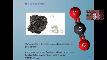Photosynthesis, the Carbon Cycle, and You
