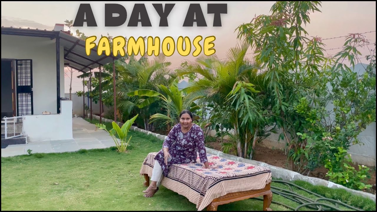 ఈ వారం Farmhouse  దగ్గర విశేషాలు, మా కొత్త స్థలం తో పాటు !మున్నా హెల్త్ గురించి! Life at Farmhouse !