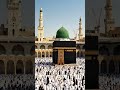 kya manjar hay SubhanAllah #shortsfeed #shorts #ytshorts ##islamic #povar