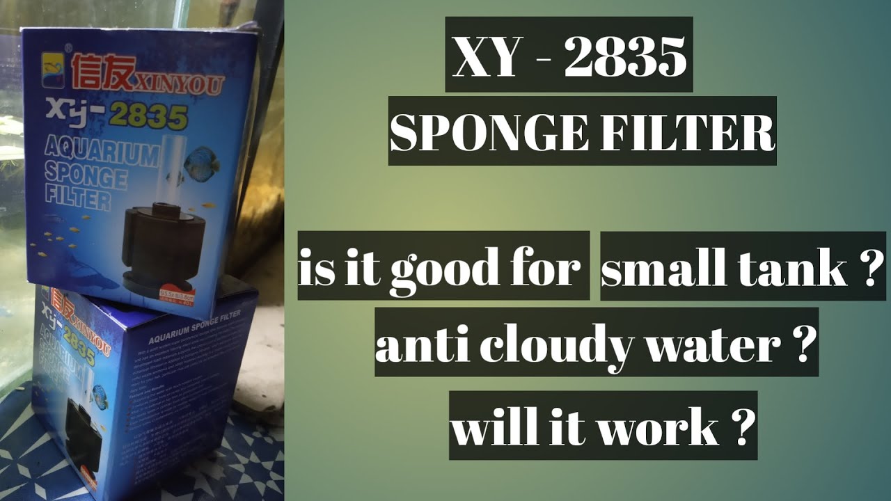 Xinyou xy 2835 aquarium sponge filter testing YouTube