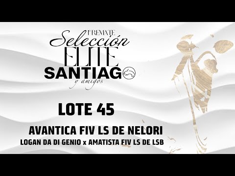 Lote 45   Avantica LS