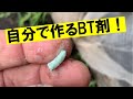 環境にもヒトにもやさしい天然農薬です。