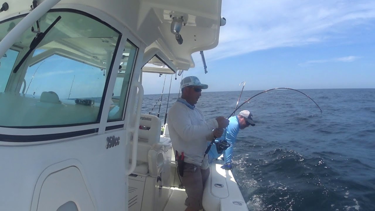 Texas Amberjack Fishing YouTube Texas amberjack fishing youtube