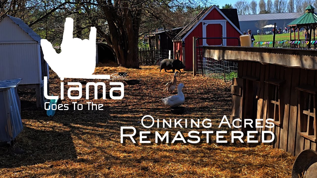 Liama Goes To The Oinking Acres 2/ Remastered - LSFC