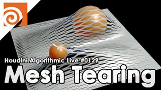 Houdini Algorithmic Live #129 - Mesh Tearing