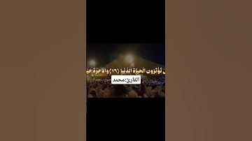 قد أفلح من تزكى وذكر اسم ربه فصلى (سورة الأعلى)القارئ (محمد)