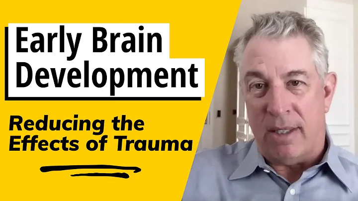 Dr Bruce Perry - Early Brain Development: Reducing...